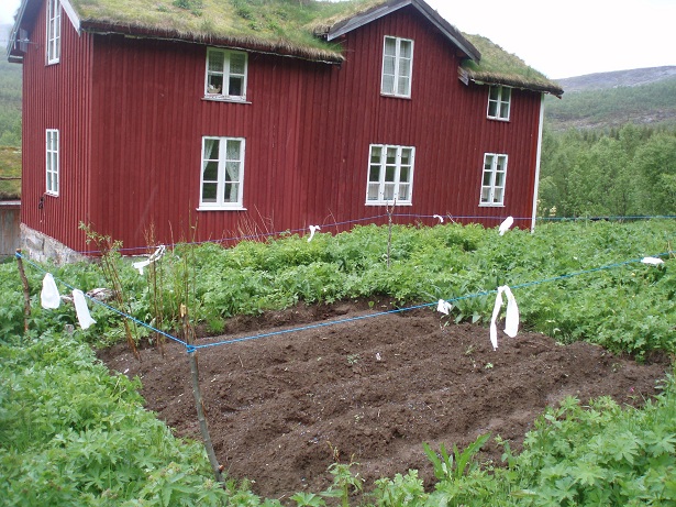 P1010774.JPG