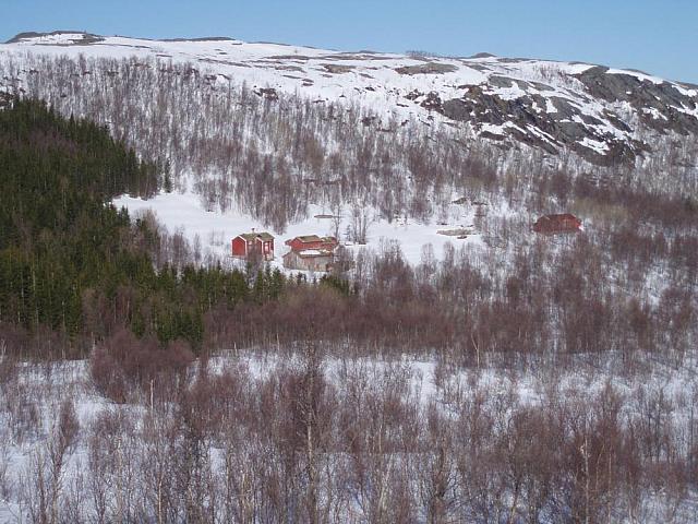 P1010721_crop.jpg