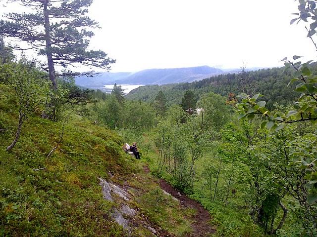 Stien opp mot Lappskaret