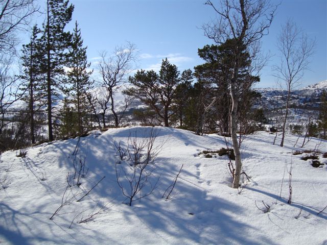 fra sørvika 039.jpg
