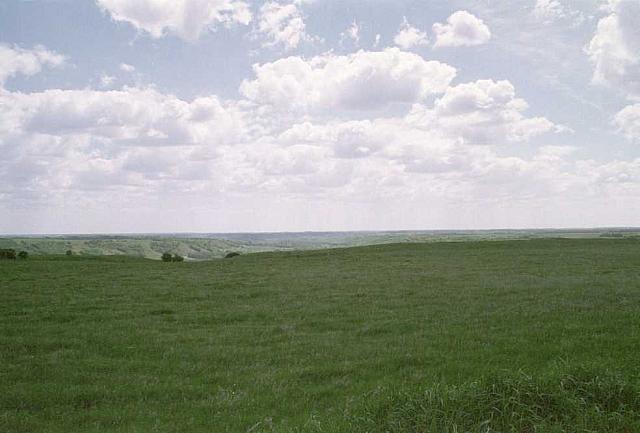 OFS1997-NF-Forsommer-USA-19_25cm100dpi.jpg