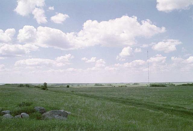 OFS1997-NF-Forsommer-USA-22_25cm100dpi.jpg