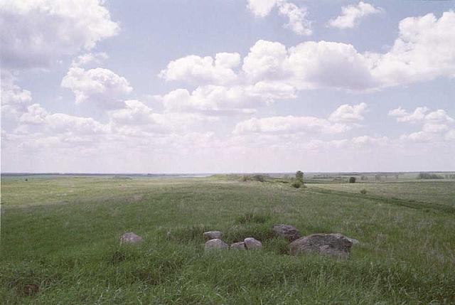 OFS1997-NF-Forsommer-USA-23_25cm100dpi.jpg