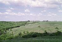 OFS1997-NF-Forsommer-USA-15_25cm100dpi.jpg
