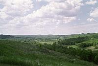 OFS1997-NF-Forsommer-USA-16_25cm100dpi.jpg