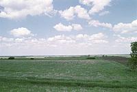 OFS1997-NF-Forsommer-USA-21_25cm100dpi.jpg