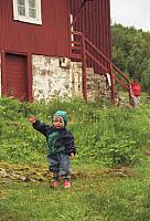 NF1991-Sommer-10_25cm100dpi.jpg