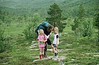 Sommer2-01_25cm100dpi.jpg