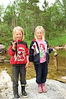 Sommer-06_25cm100dpi.jpg