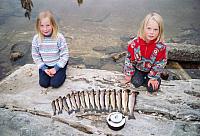 Sommer-10_25cm100dpi.jpg