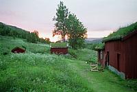 Sommer-11_25cm100dpi.jpg
