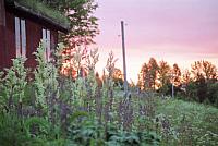 Sommer-13_25cm100dpi.jpg
