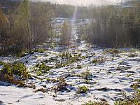 Nysnø i motlys på sommerfjøsteigen