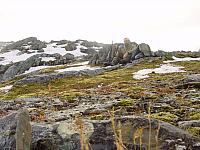 Rypejeger Inge med en kaffekopp på Skålfjellet