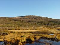 Myran og Gjetarfjellet