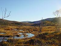 Ågdalen fra Myran