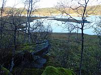 Korsura med grensemerking