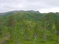 Bærmyra fra Olasjytthågen