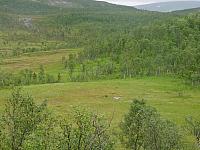Nylendmyra