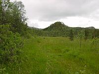 Langmyra og Tjønnåsen