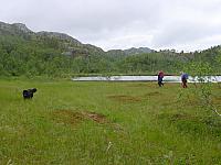 Ved rundtjønna