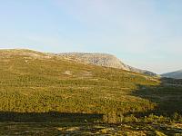 DSC02998_25cm_144dpi.jpg