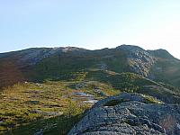 DSC03000_25cm_144dpi.jpg