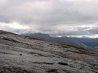 DSC03033_25cm_144dpi.jpg