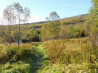 DSC03037_25cm_144dpi.jpg