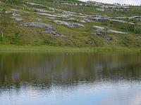 DSC02907_25cm_144dpi.jpg