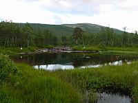 DSC02916_25cm_144dpi.jpg