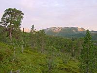 DSC02932_25cm_144dpi.jpg