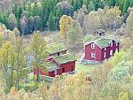 Bilder fra elgjakta i 2003