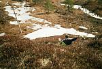 N-I-2003 11 25cm