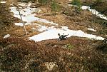 N-I-2003 12 25cm