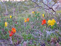 DSC04013_25cm_144dpi.jpg