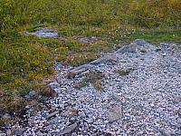 DSC04018_25cm_144dpi.jpg