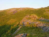 DSC04022_25cm_144dpi.jpg