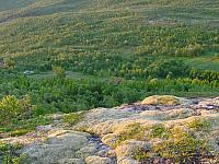DSC04025_25cm_144dpi.jpg