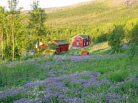 DSC04031_25cm_144dpi.jpg