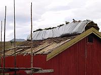 DSC04970_25cm_144dpi.jpg