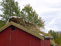 DSC04972_25cm_144dpi.jpg