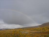 DSC04975_25cm_144dpi.jpg