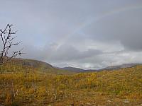 DSC04976_25cm_144dpi.jpg