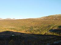 DSC04979_25cm_144dpi.jpg