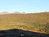 DSC04982_25cm_144dpi.jpg