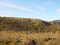 DSC04985_25cm_144dpi.jpg