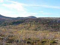 DSC04986_25cm_144dpi.jpg