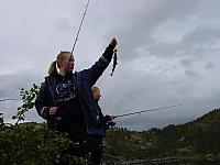 DSC04867_25cm_144dpi.jpg