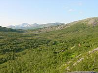 DSC04872_25cm_144dpi.jpg